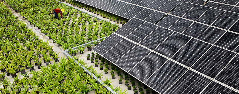 Finanziamenti ristrutturazione sostenibile, finanziamenti riqualificazione energetica - Banca Popolare del Frusinate Finanziamenti ristrutturazione sostenibile, finanziamenti riqualificazione energetica - Banca Popolare del Frusinate
