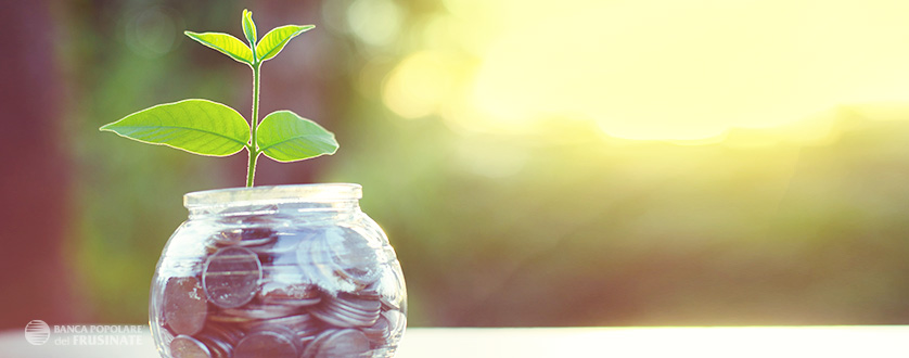 obbligazioni, investimenti obbligazionari Bpf - Banca Popolare del Frusinate obbligazioni, investimenti obbligazionari Bpf - Banca Popolare del Frusinate